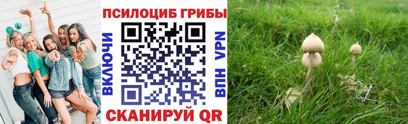 Псилоцибиновые грибы GOLDEN TEACHER  Щигры 
